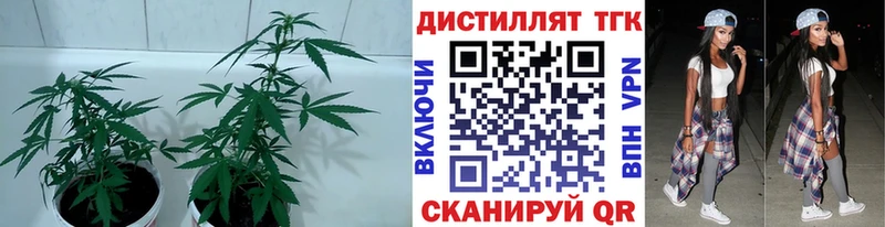 Купить где  Вилюйск  Дистиллят ТГК Wax 