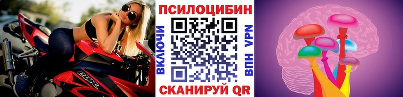 Галлюциногенные грибы прущие грибы  Купить закладки  Вилюйск 
